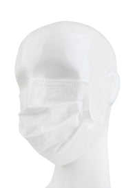 Disposable 3 Ply Face Mask in White, 10 PK (non-medical)